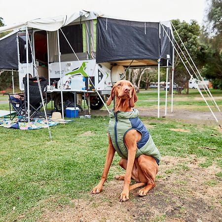 Kennett River Family Caravan Park Wye River Bagian luar foto