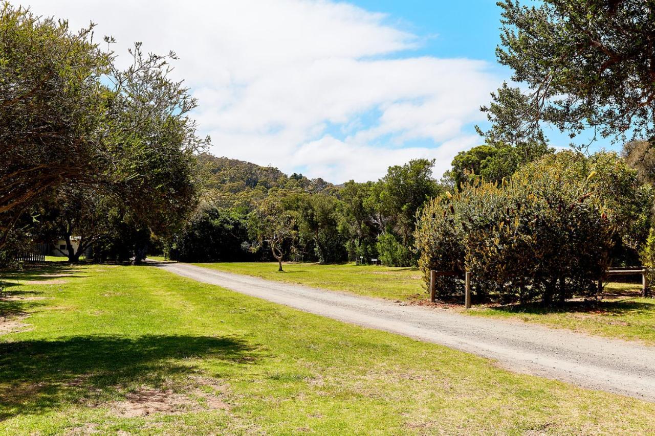 Kennett River Family Caravan Park Wye River Bagian luar foto