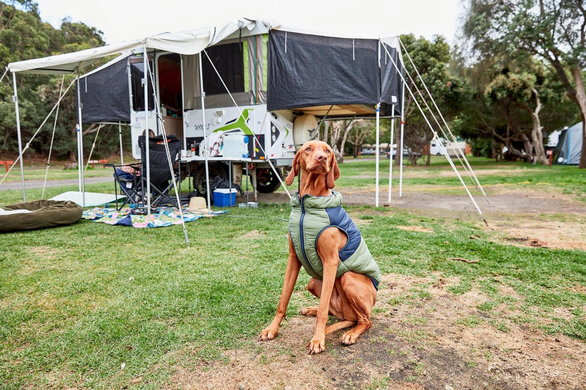 Kennett River Family Caravan Park Wye River Bagian luar foto